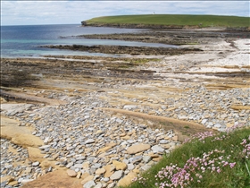 Brough of Birsay